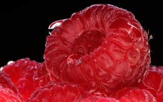 Картинка Raspberry, ягода-малина