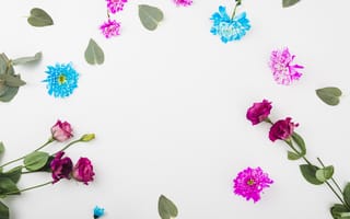 Картинка цветы, белый, декор, flowers
