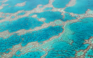 Картинка баръерный риф, текстура, карибское море, вода