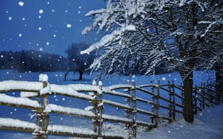 Обои зима, снег, забор, дерево, снегопад, сумерки, вечер