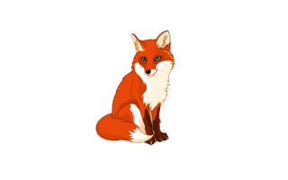 Картинка лиса, fox, белый фон, минимализм