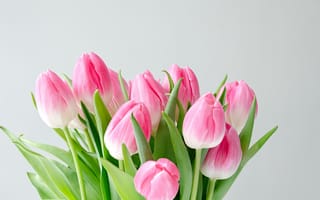 Картинка цветы, букет, розовые, тюльпаны