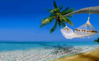 Обои гамак, landscape, beach, небо, пляж, sky, sand, отдых, океан, вода, water, ammock, пальмы, nature, palm trees, природа, море, vacation, пейзаж, песок, sea, ocean