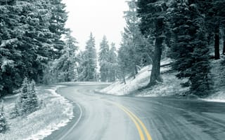 Картинка дорога, лес, снег, зима