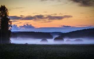Картинка поле, лес, облака, трава, утро, туман, деревья, небо