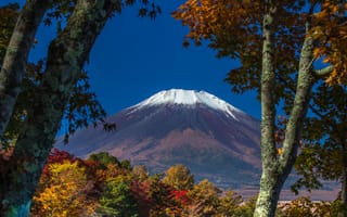 Картинка Япония, небо, листья, осень, деревья, гора Фудзияма, снег