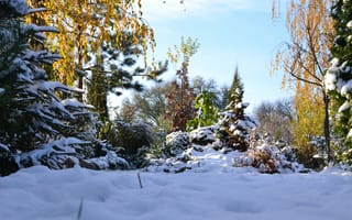 Картинка Осень, снег, природа, красота, зима, пейзаж