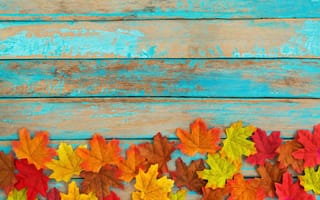 Обои осень, wood, дерево, autumn, maple, vintage, листья, colorful, leaves