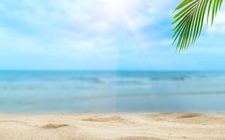 Картинка песок, море, берег, пальмы, солнце, sea, palms, небо, seascape, sand, paradise, summer, beach, лето, пляж, beautiful