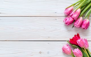 Картинка цветы, тюльпаны, fresh, розовые, tulips, wood, flowers, pink
