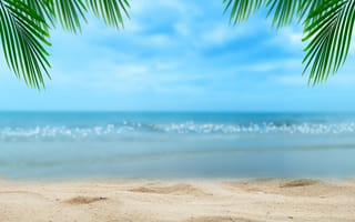 Обои песок, берег, palms, пальмы, солнце, seascape, море, paradise, sand, пляж, summer, небо, beach, лето, beautiful, sea