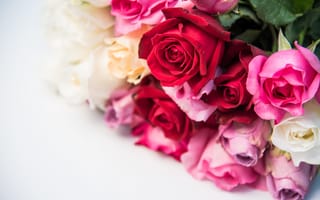 Картинка цветы, розы, red, бутоны, romantic, pink, букет, flowers, roses