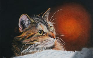 Картинка кот, взгляд, живопись, кошак, котяра