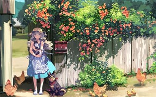 Картинка кот, цветы, куры, девочка, деревня