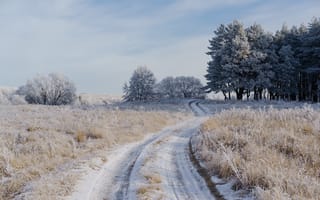 Картинка дорога, зима, иней, поле