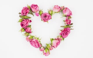 Картинка сердце, розы, розовые, heart, pink, roses, бутоны