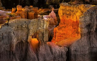 Обои Bryce Canyon National Park, горы, Юта, США, дерево, скалы, закат