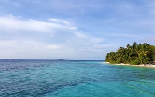 Картинка пляж, тропики, Maldives, пальмы, океан, relax