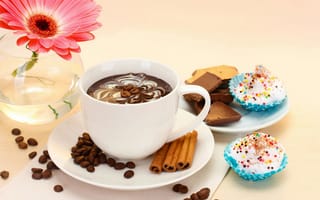 Картинка кофе, flower, шоколад, еда, cake, цветы, chocolate, гербера, dessert, gerbera, cup, чашка, торт, десерт, coffee