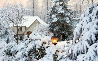 Обои природа, зима, white, деревья, пейзаж, sky, house, сад, дом, парк, nature, winter, trees, garden, lantern, фонарь, snow, небо, снег, park