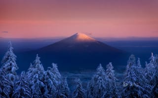 Картинка Орегон, гора, лес, зима, США, снег, небо
