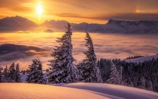 Картинка зима, деревья, горы, закат, Альпы, облака, ели, Австрия, снег
