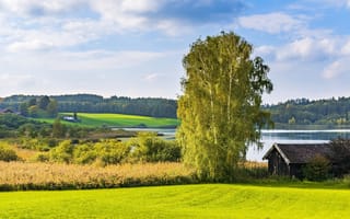 Картинка зелень, поле, облака, лето, свет, лес, пейзаж, деревья