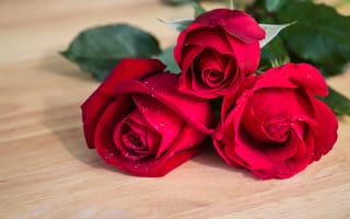 Картинка цветы, romantic, roses, букет, flowers, бутоны, red, розы, красные