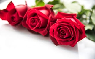 Картинка цветы, розы, букет, flowers, romantic, red, бутоны, roses, красные