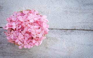 Картинка цветы, розовые, wood, flowers, pink