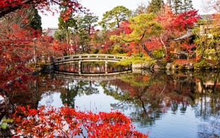 Картинка осень, листья, bridge, Киото, деревья, landscape, мост, leaves, autumn, Japan, парк, озеро, Kyoto, Япония, park, lake