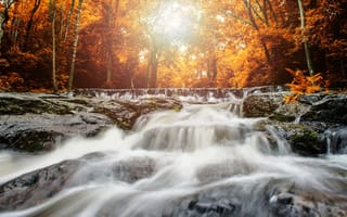 Картинка осень, лес, forest, river, скалы, река, пейзаж, водопад