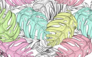 Картинка листья, текстура, leaves, tropical