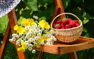 Картинка сад, клубника, шляпа, ягоды, двор, корзинка, цветы, стул