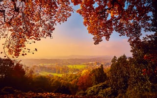 Обои осень, лес, leaves, landscape, fall, парк, tree, листья, autumn, colorful, деревья, park, forest