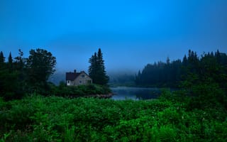 Картинка Канада, дом, зелень, кусты, деревья, речка, вода, лес, туман, Jacques-Cartier Park