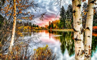 Картинка осень, река, березы, дерево, ствол, природа, пейзаж, деревья