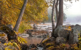 Картинка лес, река, вода, деревья, камни, туман, осень