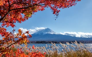 Картинка осень, небо, maple, Fuji Mountain, листья, red, гора Фуджи, leaves, Japan, landscape, Япония, colorful, осенние, autumn, клен