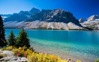 Картинка Bow Lake, озеро, Канада, горы, осень, деревья, Альберта