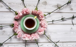 Картинка цветы, розовые, гвоздика, wood, чашка кофе, pink, cup, coffee, flowers
