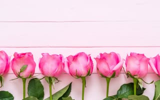Картинка цветы, розы, fresh, flowers, wood, розовые, roses, pink