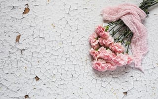 Картинка цветы, розовые, pink, flowers, wood, гвоздика