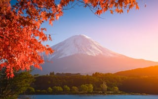Обои осень, гора Фуджи, клен, осенние, maple, landscape, autumn, leaves, Japan, Fuji Mountain, листья, небо, Япония, colorful, red