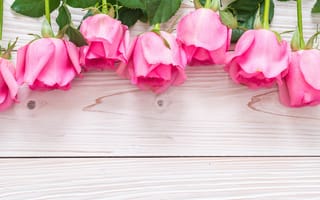 Картинка цветы, розы, pink, розовые, roses, fresh, flowers, wood