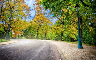 Картинка дорога, осень, forest, лес, листья, парк, colorful, деревья