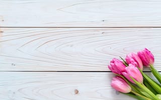 Картинка цветы, тюльпаны, tulips, flowers, fresh, wood, pink, розовые