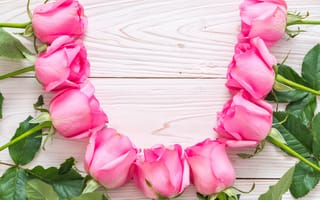 Картинка цветы, розы, pink, flowers, розовые, wood, roses, fresh