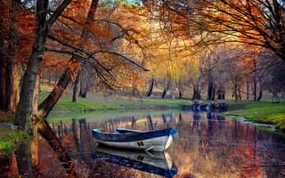 Картинка парк, деревья, пруд, лодка