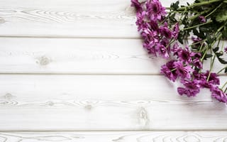 Картинка цветы, букет, wood, purple, flowers, хризантемы
